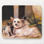 14b   Mother &amp; her Puppies Mouse Mat