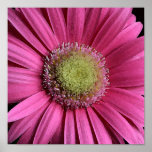 150_5048  12 x 12 watercolor poster