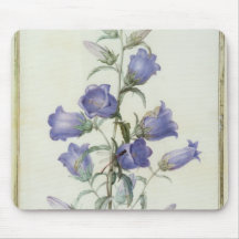 15:Campanula: Medium  1787 Mousepads