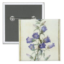 15:Campanula: Medium  1787 Pins