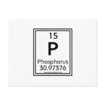 15 Phosphorus Post Cards