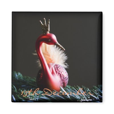 15th December • Swan • Magnet by SabineStGreetings