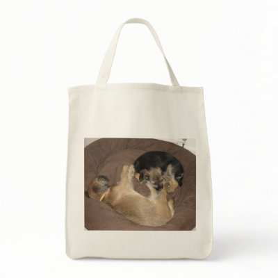 163 BAG by s3711315