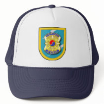 163d Military Intelligence Battalion flash
