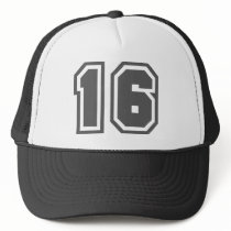 16 MESH HAT