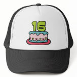 16 Year Old Birthday Cake hats