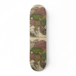 1700's Map of Asia skateboards