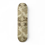 1708 Jean Baptiste Nolin World Map skateboards