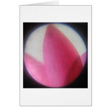 1784_crop greeting cards