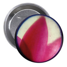 1784.edt pinback buttons