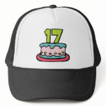 17 Year Old Birthday Cake hats