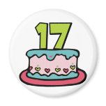 17 Year Old Birthday Cake Refrigerator Magnet