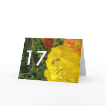 17th Birthday Cards