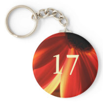 17th Birthday Key Chains