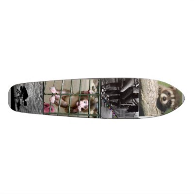 180px-Baby_ginger_monkey, 35.large, small_baby_... Skateboards by nutcase785