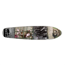 180px-Baby_ginger_monkey, 35.large, small_baby_... Skateboards