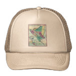 1856 Government Map of Nicaragua by A.H. Jocelyn Trucker Hat