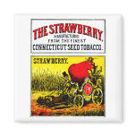 1874 The Strawberry Cigar Refrigerator Magnet
