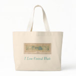 1875 Map of Central Park Tote Bags