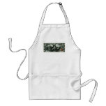 1896 US Five Dollar silver Certificate Aprons