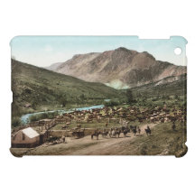 1898 Colorado Roundup iPad Mini Glossy Finish Case