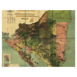 1898 Official Map of Nicaragua flyers