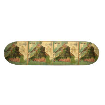 1898 Official Map of Nicaragua Skate Decks