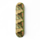 1898 Official Map of Nicaragua skateboards