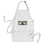 1899 One Dollar US Silver Certificate aprons