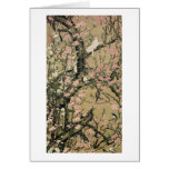 18.桃花小禽図, 若冲 Peach Blossoms & Small Birds, Jakuchū Card
