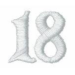 18 embroidered shirts