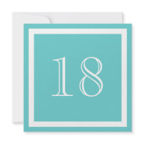 18th Birthday Party Invitation - Aqua