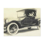 1900's woman driving car greeting card postcards