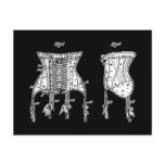 1908 Corset Illustration Post Cards