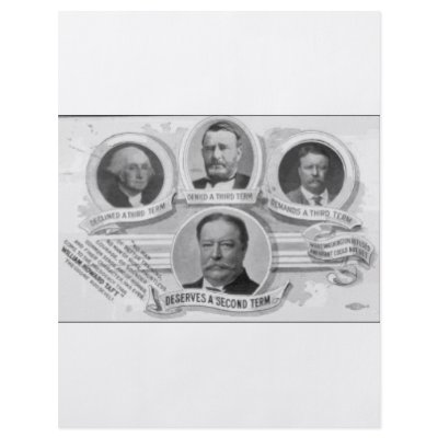 1908 Taft2 Full Color Flyer by JustProducts