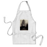 1915 Asian American Christmas Aprons