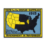 1915 Vote for Womans Suffrage Postcard
