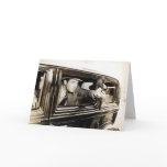 1930's Road Rage Greeting Cards