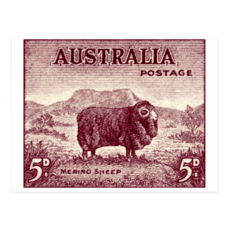 1934_australian_merino_sheep_postcard-ra7da1b18c0034163a07b82491b643d46_vgbaq_8byvr_324.jpg