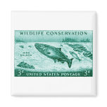 1956 Wildlife Conservation, Salmon Magnets