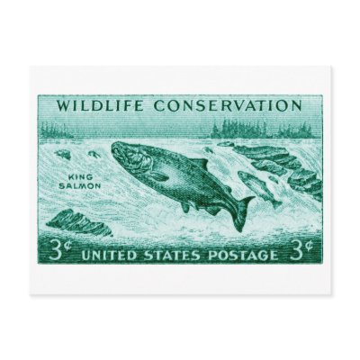 1956 Wildlife Conservation, Salmon Postcards by historicimage