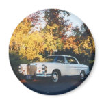 1965 Mercedes-Benz 220SEb coupe Refrigerator Magnets