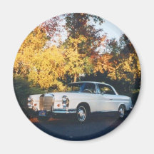 1965 Mercedes-Benz 220SEb coupe Refrigerator Magnets