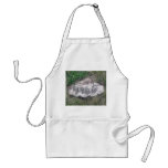 1966 Rock Apron