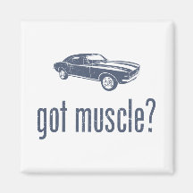1967 Chevrolet Camaro SS 396 Magnets
