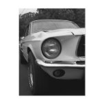 1967 Muscle Card Postcard