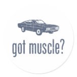 1969 Ford Torino Talladega stickers