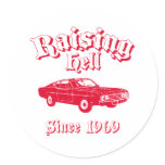 1969 Ford Torino Talladega Sticker