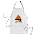 1969 Pontiac Firebird Apron
