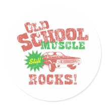 1970 AMC AMX 390 ROUND STICKER